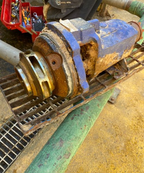 WhatsApp Image 2022-02-08 at 17.53.58