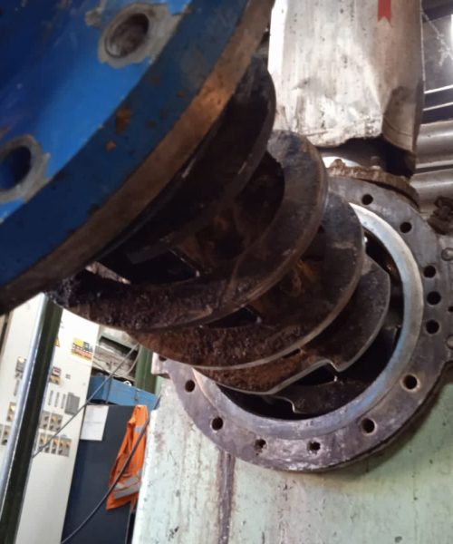 WhatsApp Image 2022-02-08 at 17.53.59 (1)