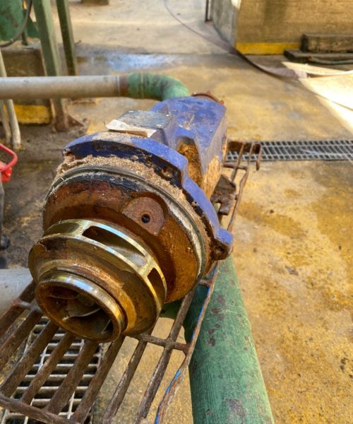 WhatsApp Image 2022-02-08 at 17.53.59