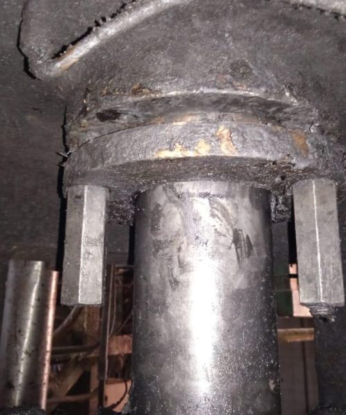 WhatsApp Image 2022-02-08 at 17.54.10