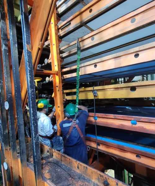 WhatsApp Image 2022-03-18 at 07.32.46