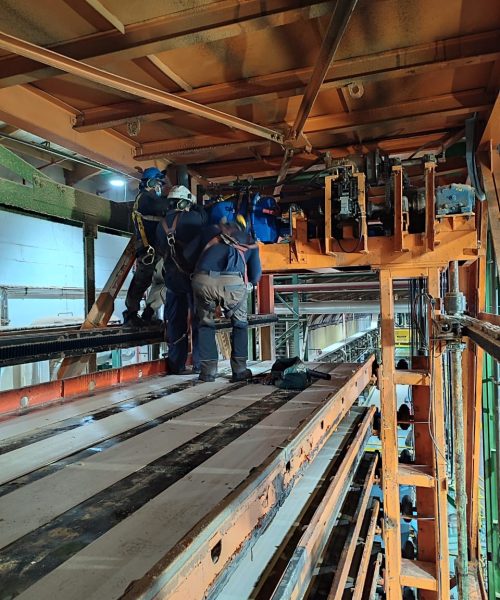 WhatsApp Image 2022-03-19 at 12.49.19 AM (1)