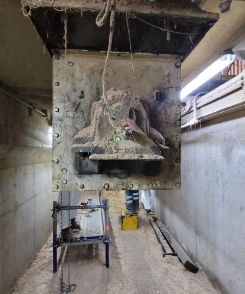 WhatsApp Image 2022-03-29 at 10.08.38 AM (1)