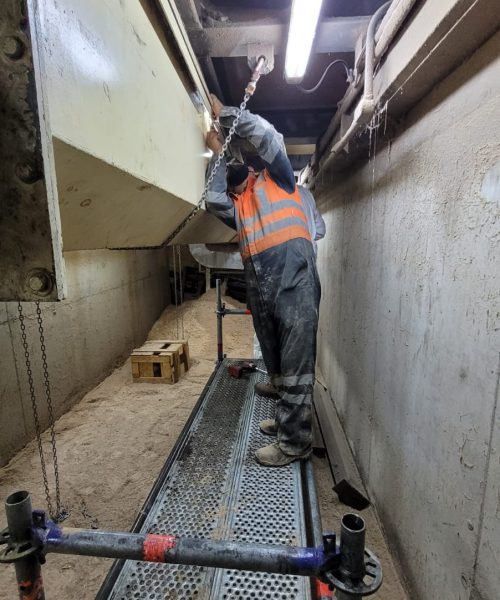 WhatsApp Image 2022-03-29 at 10.08.38 AM (2)