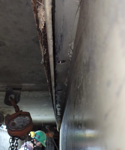 WhatsApp Image 2022-03-29 at 10.08.39 AM