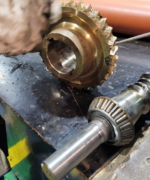 WhatsApp Image 2022-03-29 at 10.55.56 AM (1)