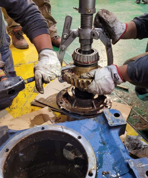 WhatsApp Image 2022-03-29 at 10.55.56 AM (2)