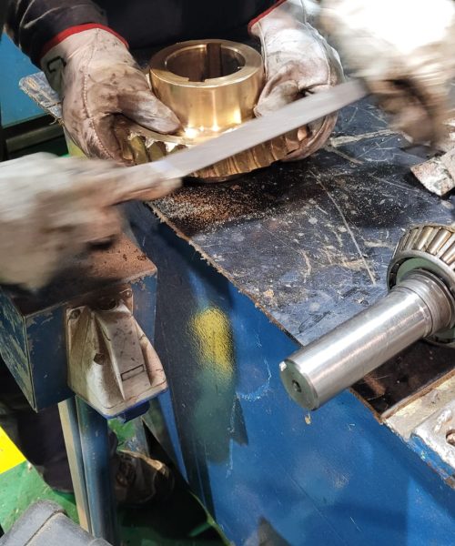 WhatsApp Image 2022-03-29 at 10.55.56 AM