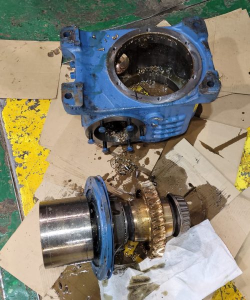 WhatsApp Image 2022-03-29 at 10.55.57 AM (1)