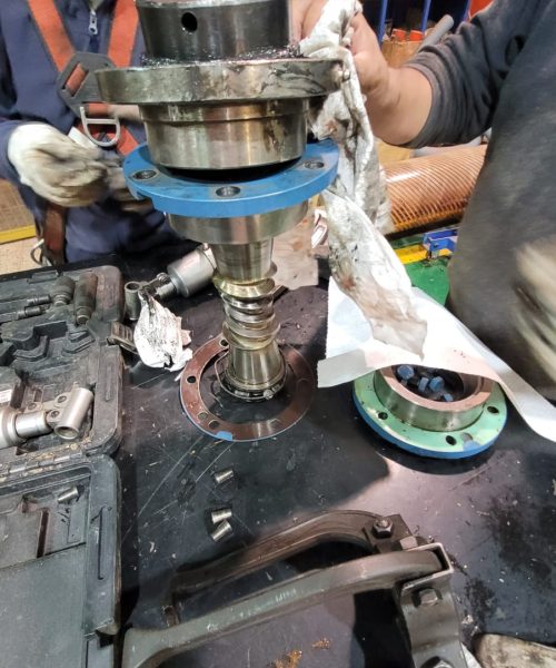 WhatsApp Image 2022-03-29 at 10.55.58 AM (1)