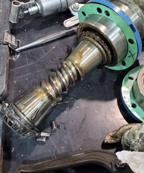 WhatsApp Image 2022-03-29 at 10.55.58 AM (3)