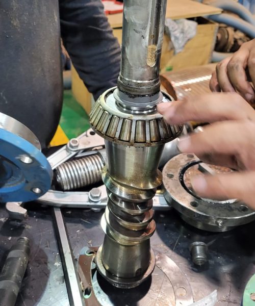 WhatsApp Image 2022-03-29 at 10.55.58 AM