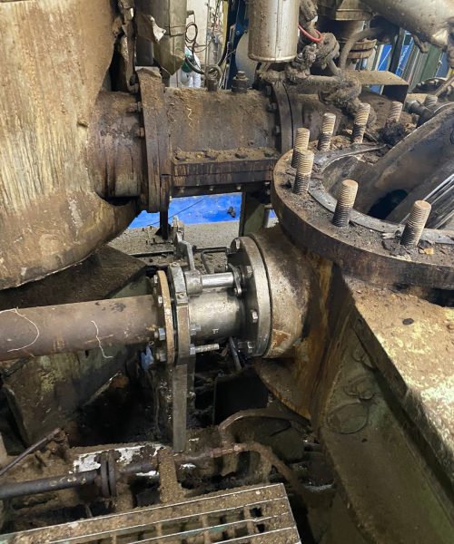 WhatsApp Image 2022-05-09 at 11.22.35 AM