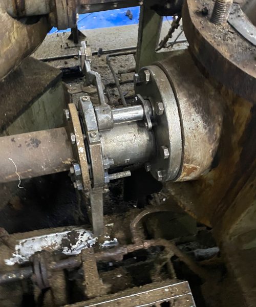 WhatsApp Image 2022-05-09 at 11.22.36 AM