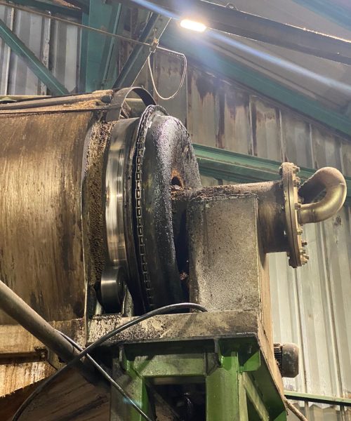 WhatsApp Image 2022-05-09 at 11.22.40 AM (1)