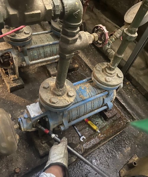 WhatsApp Image 2022-05-09 at 11.22.41 AM (2)