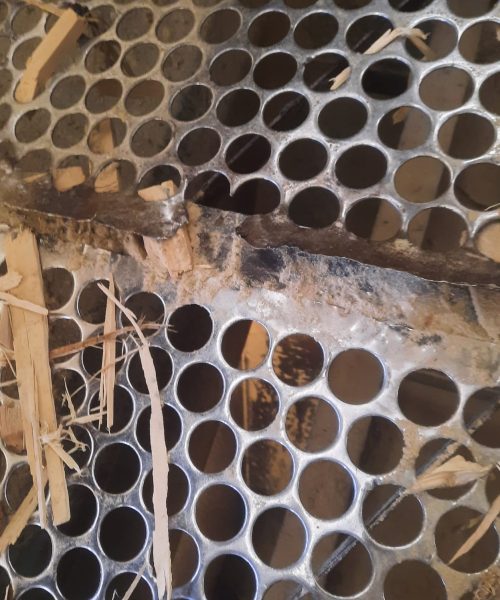 WhatsApp Image 2022-10-10 at 08.18.51