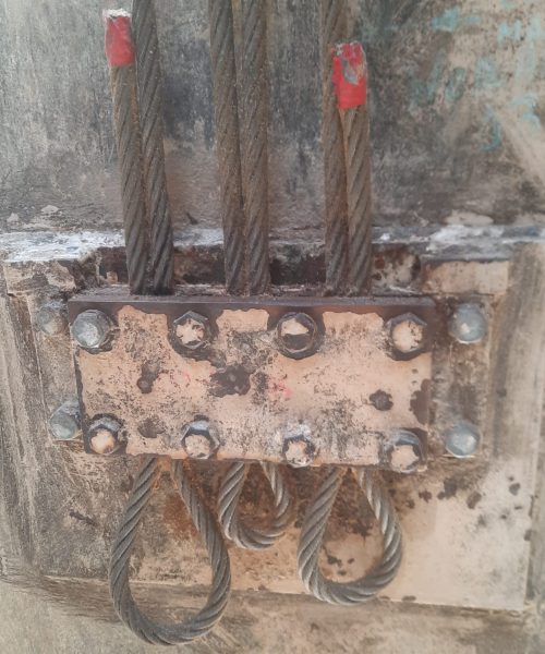 WhatsApp Image 2022-10-10 at 08.18.52 (2)