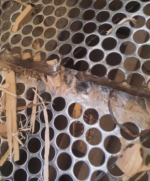 WhatsApp Image 2022-10-10 at 08.18.52