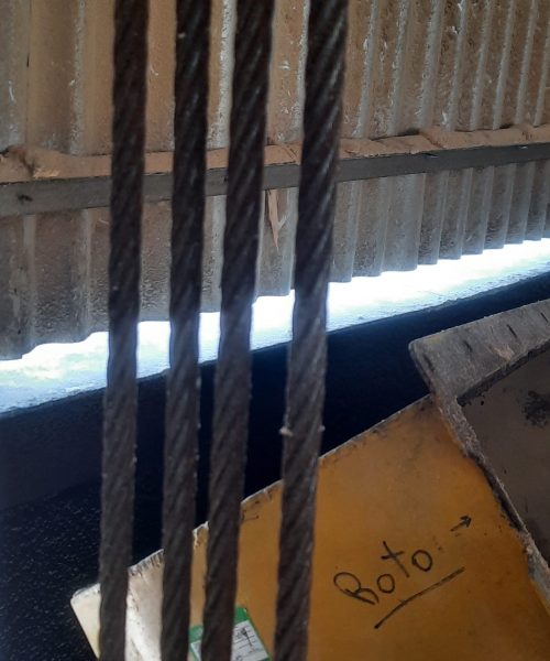 WhatsApp Image 2022-10-10 at 08.18.53 (3)