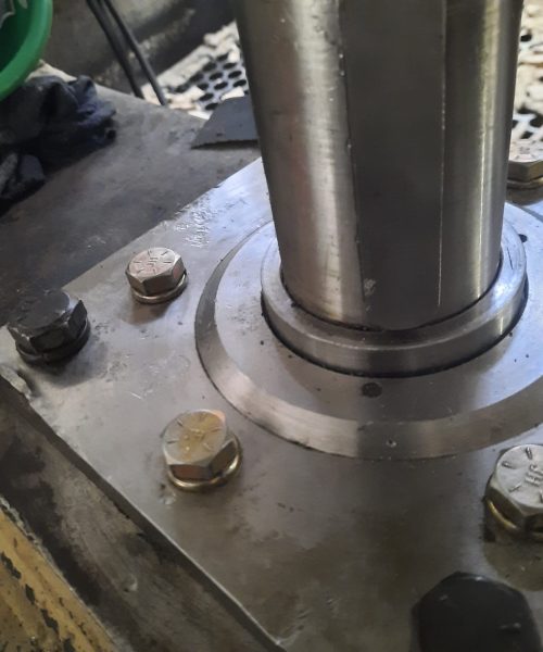 WhatsApp Image 2022-10-10 at 08.19.24 (1)