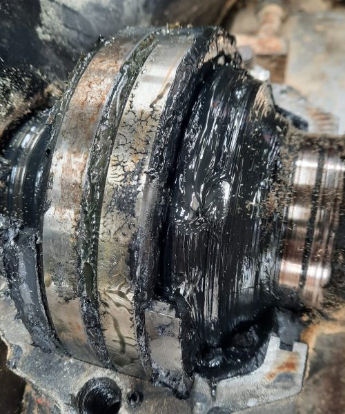 WhatsApp Image 2022-10-10 at 08.19.24