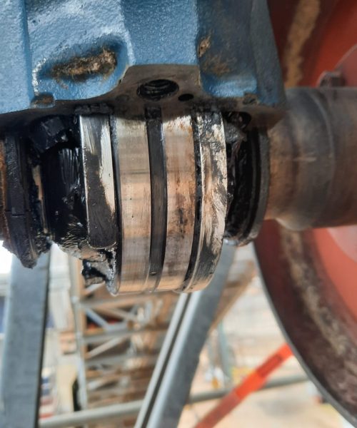 WhatsApp Image 2022-10-10 at 08.19.26 (1)