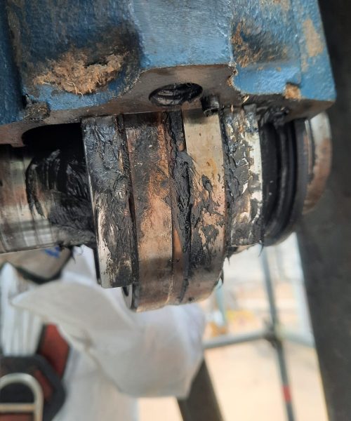 WhatsApp Image 2022-10-10 at 08.19.27 (1)