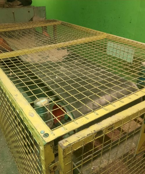 WhatsApp Image 2022-10-10 at 08.19.28 (1)