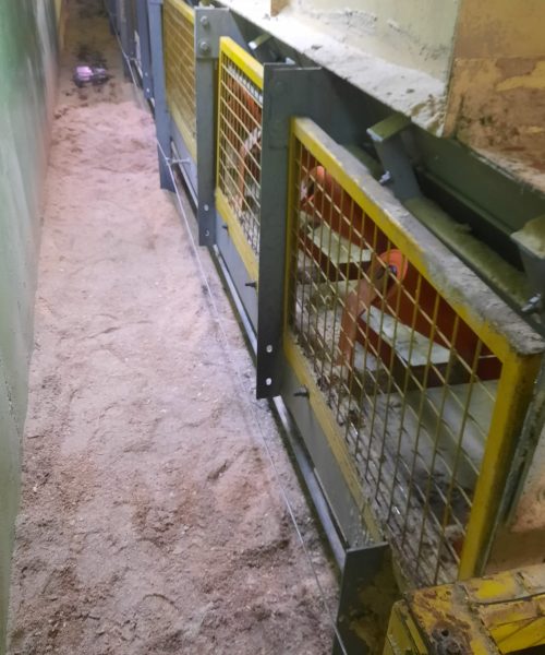 WhatsApp Image 2022-10-10 at 08.19.28 (2)