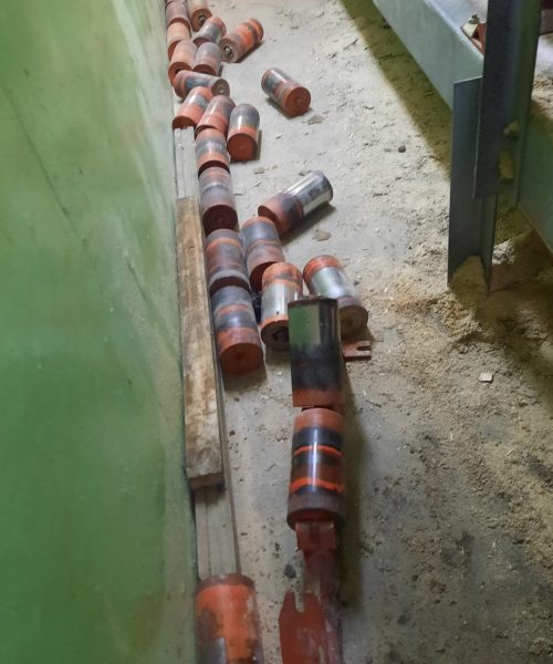 WhatsApp Image 2022-10-10 at 08.19.56