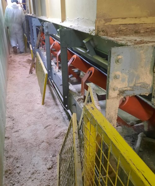 WhatsApp Image 2022-10-10 at 08.19.58