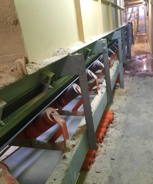 WhatsApp Image 2022-10-10 at 08.19.59