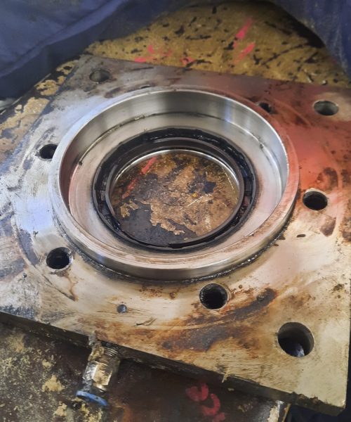 WhatsApp Image 2022-10-10 at 08.20.34