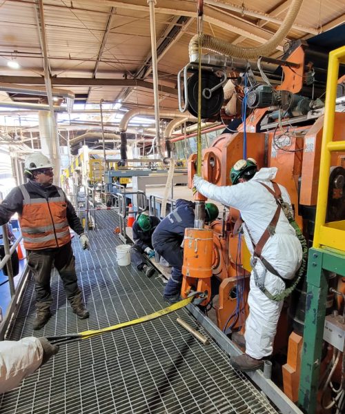 WhatsApp Image 2022-10-17 at 14.56.34 (2)