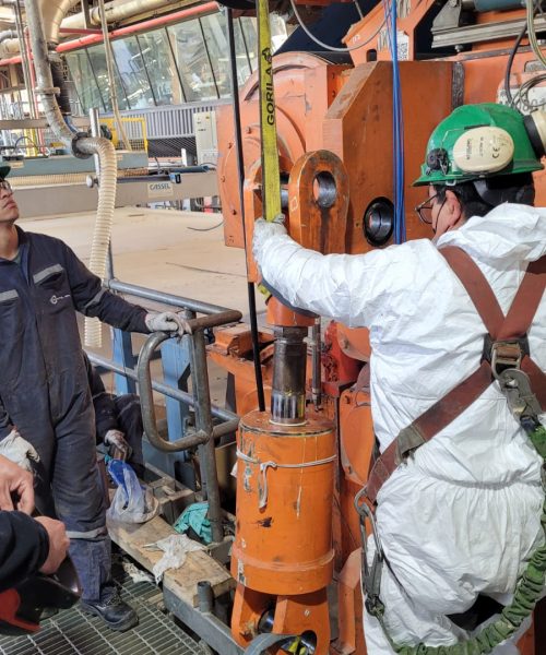 WhatsApp Image 2022-10-17 at 14.56.34 (3)