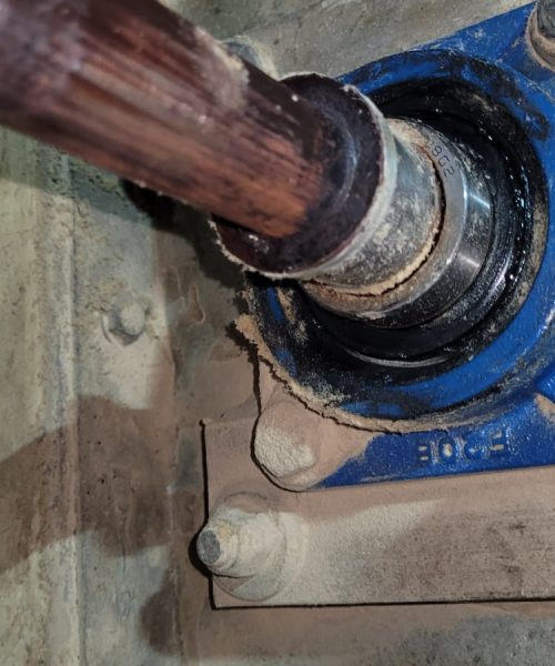 WhatsApp Image 2022-10-17 at 14.57.27 (4)