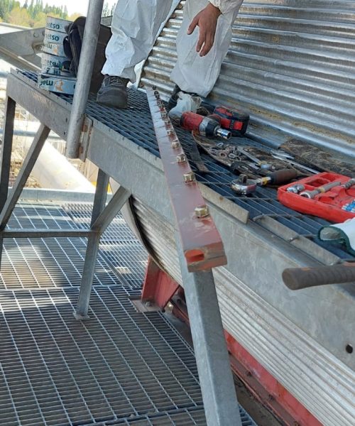 WhatsApp Image 2022-10-19 at 12.51.51