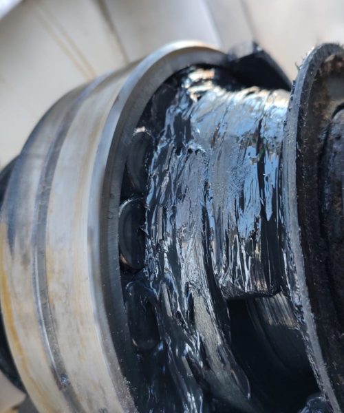 WhatsApp Image 2022-10-19 at 12.52.28 (1)