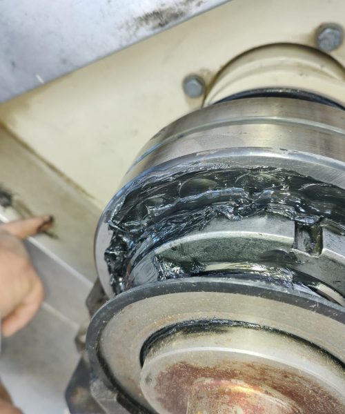 WhatsApp Image 2022-10-19 at 12.52.28