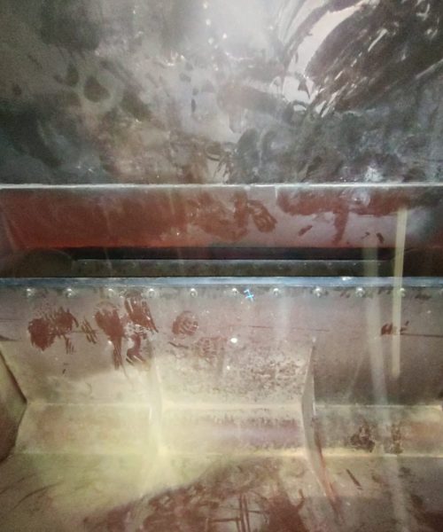 WhatsApp Image 2022-10-19 at 12.52.32