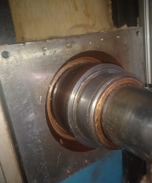 WhatsApp Image 2022-10-19 at 12.56.05 (1)