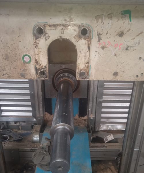 WhatsApp Image 2022-10-19 at 12.56.05