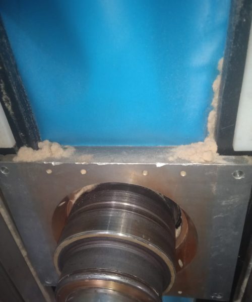 WhatsApp Image 2022-10-19 at 12.56.07