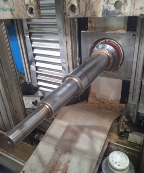 WhatsApp Image 2022-10-19 at 12.56.08