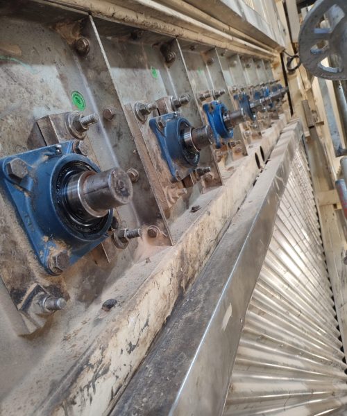 WhatsApp Image 2022-10-19 at 14.38.47