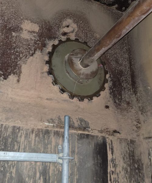 WhatsApp Image 2022-10-26 at 10.29.25 (7)