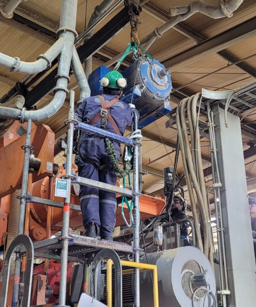 WhatsApp Image 2022-10-26 at 10.29.26 (5)