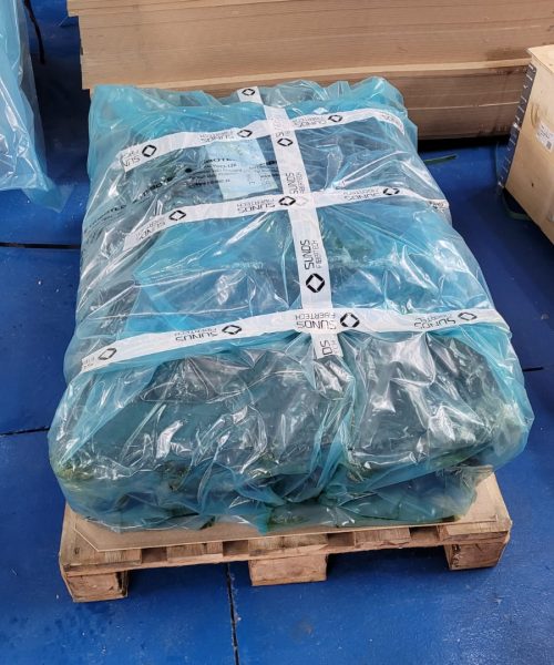 WhatsApp Image 2022-10-26 at 10.29.27 (1)