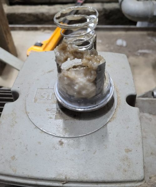 WhatsApp Image 2022-11-02 at 16.13.46 (1)